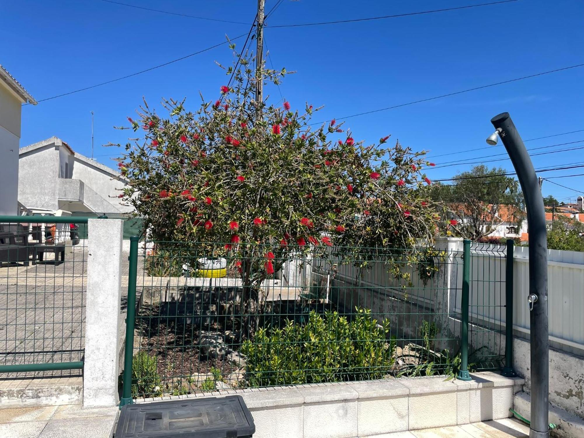 Casa Vila Sao & Pompeia Sesimbra Eksteriør billede